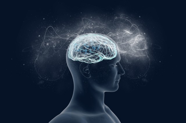 brainsmemorycapacity10timesmorethanthought:study